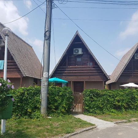 科斯蒂内什蒂Casutele Intim别墅 外观 照片