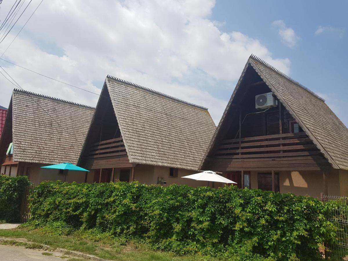 科斯蒂内什蒂Casutele Intim别墅 外观 照片